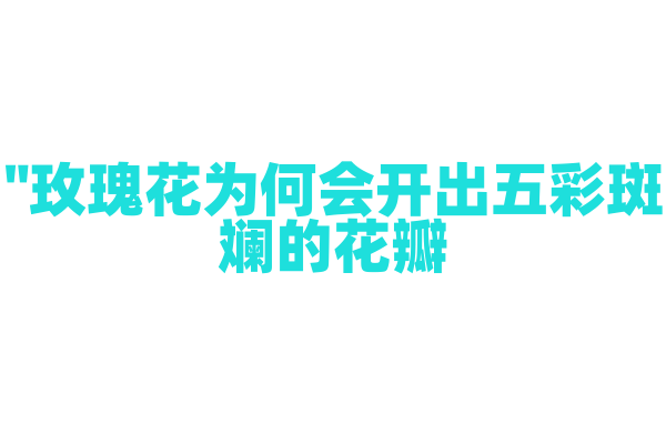 "玫瑰花为何会开出五彩斑斓的花瓣?"